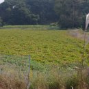 부호 공인중개사사무소 이미지