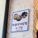 양양물회 | [낙산해수욕장물회] 양양 낙산해신물회 솔직 후기 바로입장방법 꿀팁, 포장주문가능