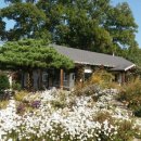 채림농장 이미지