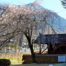 창녕 영산 만년교 이미지