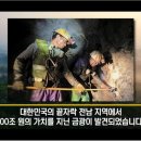 ■ 전남 해남군 일대에서 세계 최대 규모의 금광 발견 이미지