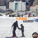 펜스키전문정비 | 비발디파크 스키강습 홍천 스키장 이번 겨울 알짜 꿀팁!