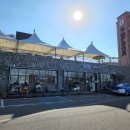 멍플러피 이미지