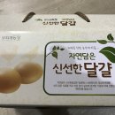 영농조합법인 무지개농장 이미지