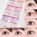 (행정용)다이소 앞(좌) | 다이소 꽁래쉬 노글루 속눈썹 전제품 6종 내돈내산 후기, 윙크걸과 비교까지!