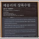 보길도 기행및 격자산행기 이미지