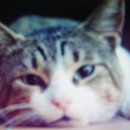 마산어시장약국 이미지