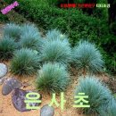 741 이미지