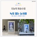 미술상자미술교습소 | 오늘의 미술=>녹지않는 눈사람_피터 피슐리,데이비드 와이스