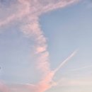 호수멍 | 강릉경포호수 근처 맥주 페스티벌 및 멍엔서프 숙박 후기