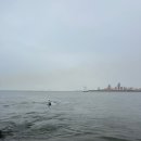 코모도호텔 포항 송도 이미지