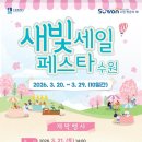 수원-2026 네이버블로그