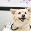 성남동물병원 이미지