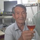 규태 농장 Daum카페