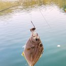 별다섯착한하우스 이미지