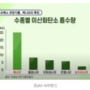 케나프사랑 이미지
