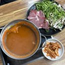센터프라자 앞 | 동탄 샤브샤브 추천 직접 반죽한 숙성면과 매일 담그는 겉절이 꿀조합 석봉 칼국수 샤브