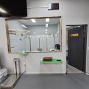 평택복싱스타 이미지