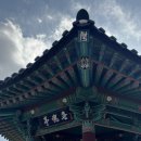 포은로 은행나무길 이미지