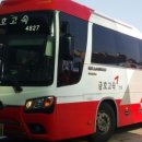 벌교원동 이미지