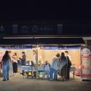 11260-1-18-44 | [국가유산 방문코스 44, 96] 안동 도산서원 야간개장 후기, 매화와 함께한 봄밤 산책