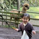 도치커피 이미지