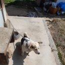 성주읍3길 이미지