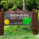 국립용현자연휴양림 이미지