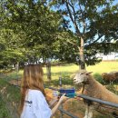 CU 금호중앙점 이미지