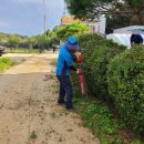 향나무쉼터 이미지