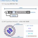 [공지] <b>에스티</b><b>팜</b> 기업 분석 : New 패러다임인 RNA 기반 치료제 성장의 수혜를 볼 청바지 회사!