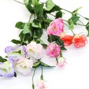 뉴매직크린 이미지