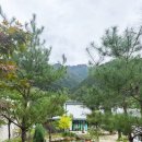 골든파인펜션 이미지