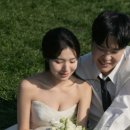 기무스냅·잔재주·수윤… 제주 웨딩 스냅 최신 후기 한눈에 모아보기