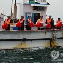 하동물양장 이미지