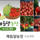 자월농장 이미지