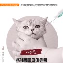 사랑플러스 동물병원 이미지