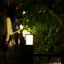 다시설레다 이미지