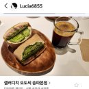 샐러디치오도씨 이미지