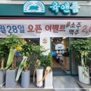 수지구청 이미지