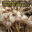 이로운온누리약국 이미지