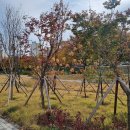 동삭1교 이미지