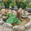 노랑제주 이미지