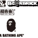 옐로우샤크 이미지