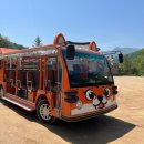 교촌식육점 | 당일치기 문경 여행