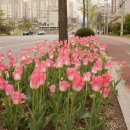 서원대로1 이미지