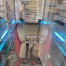 단풍세탁 네이버블로그