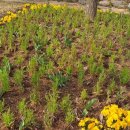 이영약품 이미지