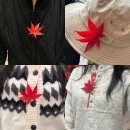 그린레일 | 화담숲🍁25.11.09 (일) 단풍 상황+ 모노레일(1-2), 주차, 포토존 후기)