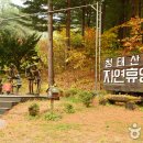 명가명품횡성한우프라자